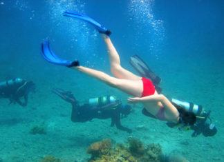 Le pinne da snorkeling 1504 0 Le pinne da snorkeling_ok